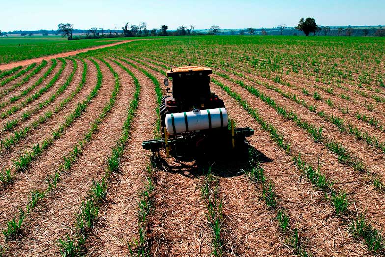 Mindy Marketing | Assessoria de Marketing | Publicidade e Propaganda | Design de Marca | Desenvolvimento de Site | Quem somos | Orçamento | Agradecimento | Agência em São José do Rio Preto