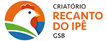 logo-1015-criatorio-recanto-do-ipe-mindy-marketing-agencia-de-comunicacao-branding-sites-rio-preto